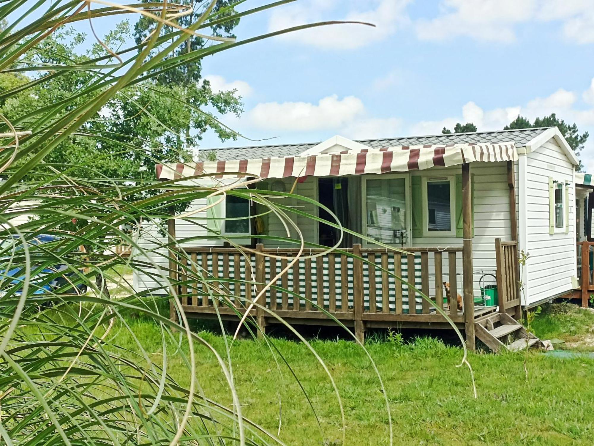 Tinyhouse Tilda - Near Famous Beaches Pataias Exterior photo