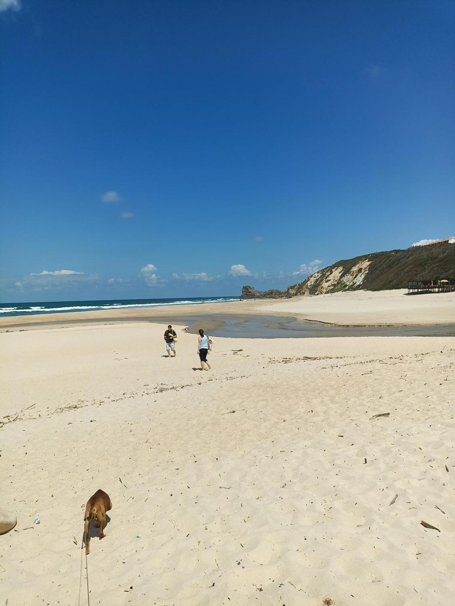 Tinyhouse Tilda - Near Famous Beaches Pataias Exterior photo